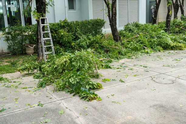 Best Commercial Tree Services  in Palmetto Estates, FL